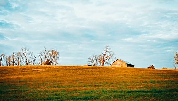 Farm in Winchester, Frederick County, Virginia