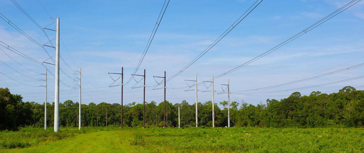 NextEra Energy Transmission Indiana Hero image of transmission lines in a green forest field
